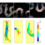 surface texture and coating thickness