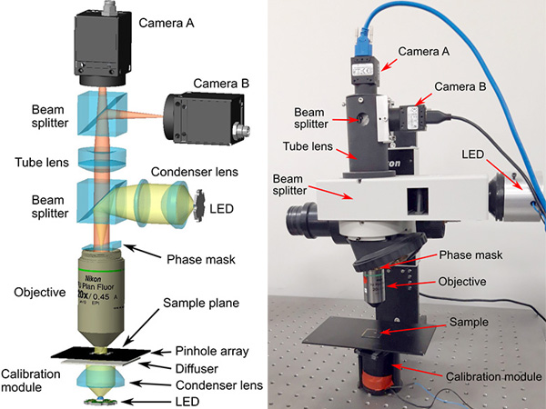 Single-shot optical profiling to reconstruct surface topographies