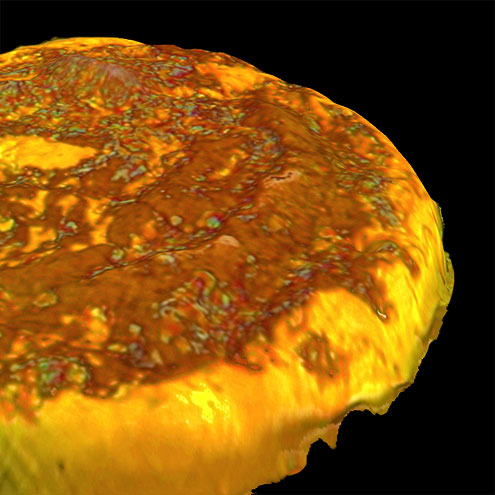 sensopro-imcc-plugin-3d IMCC Plugin