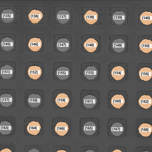 sensopro-triple-bump-plugin-analysis Triple Bump plugin 2D
