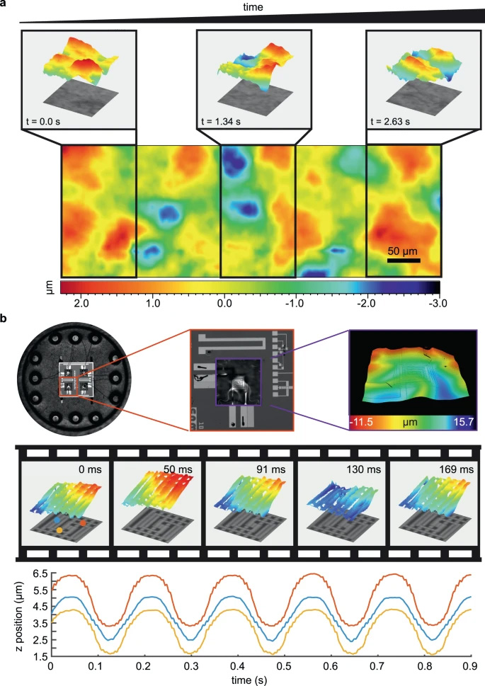 fasttopoopticscan_4 Fast topographic optical imaging using encoded search focal scan