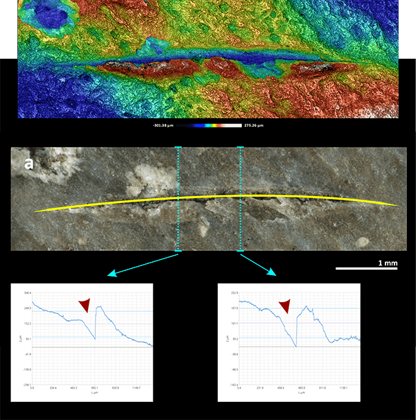 cs33_iphes_bone_surface_modifications_figure_3a Figure 3a - Surface analysis of incision geometry and penetration depth supports the identification of weapon-related injuries.