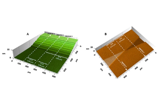 3D label free bio-transfer standards