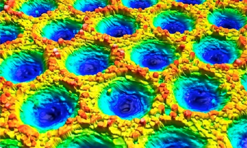 High-speed, roll to roll coherence scanning interferometry in a laser texturing process