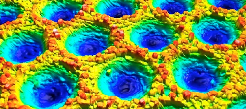 High-speed, roll to roll coherence scanning interferometry in a laser texturing process