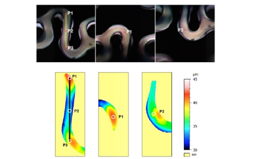 Optical stent inspection of surface texture and coating thickness