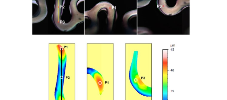 Optical stent inspection of surface texture and coating thickness