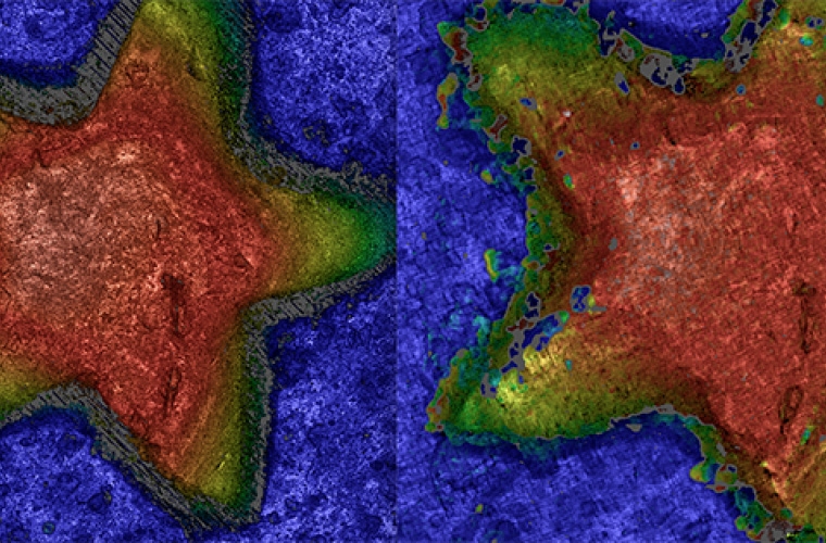 Single-shot optical surface profiling using extended depth of field 3D microscopy